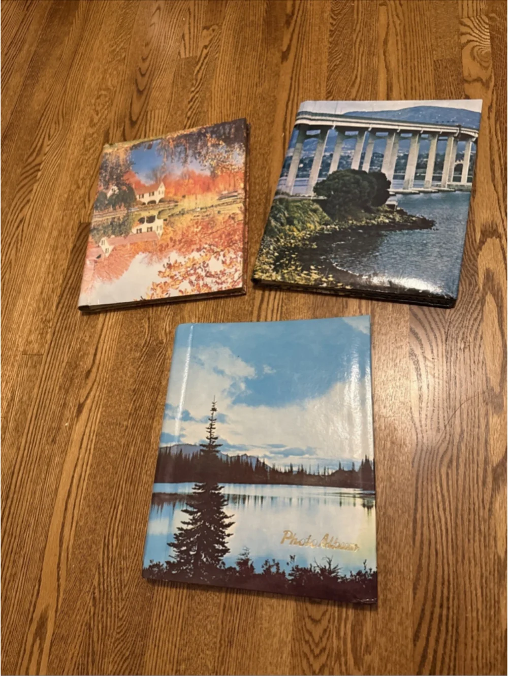 3 Vintage 1961-1965 Picture Photo Album